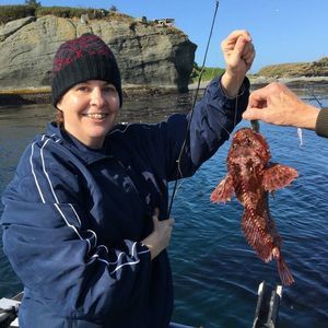 Meet your Posher, Heidi